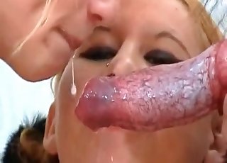 Cock